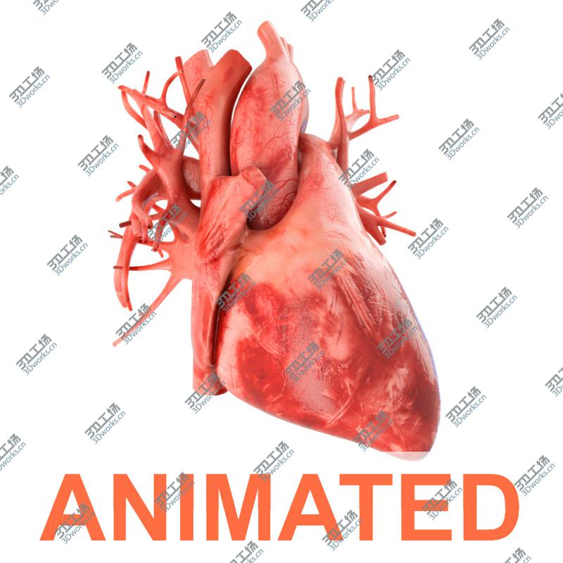 images/goods_img/2021040164/Human heart animated v3. Vray ready materials and scene of human heart/1.jpg